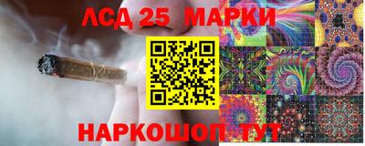 МДПВ Кингисепп