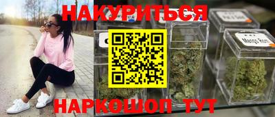 МДПВ Кингисепп