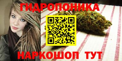 МДПВ Кингисепп