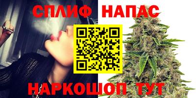 МДПВ Кингисепп