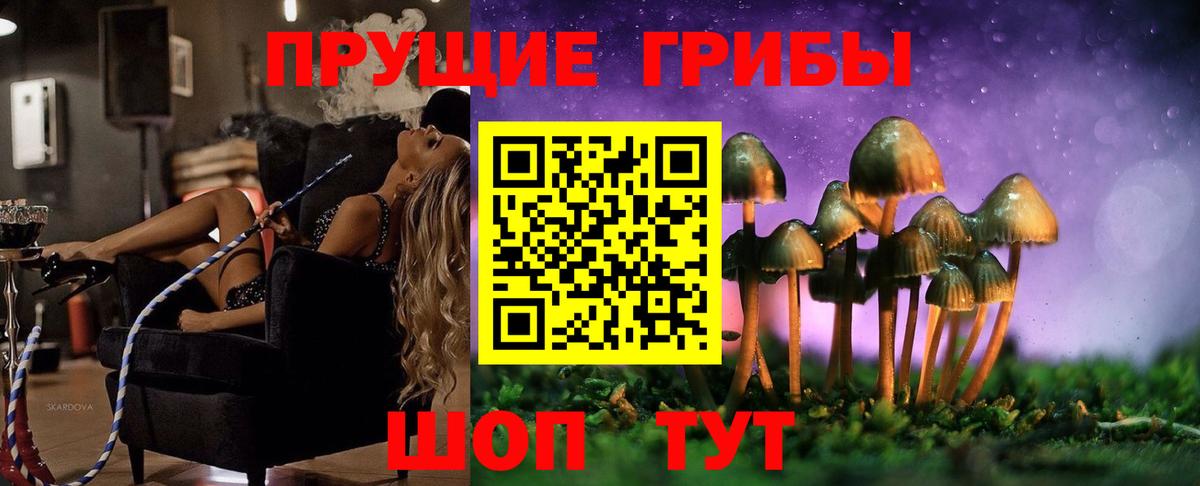 Псилоцибиновые грибы Magic Shrooms  Вход с VPN  Котлас 
